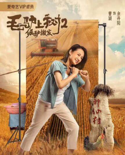 尚食在线播放免费观看