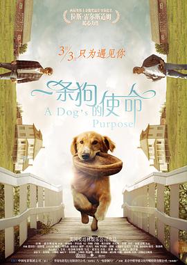 精品久久久久久无码中文字幕